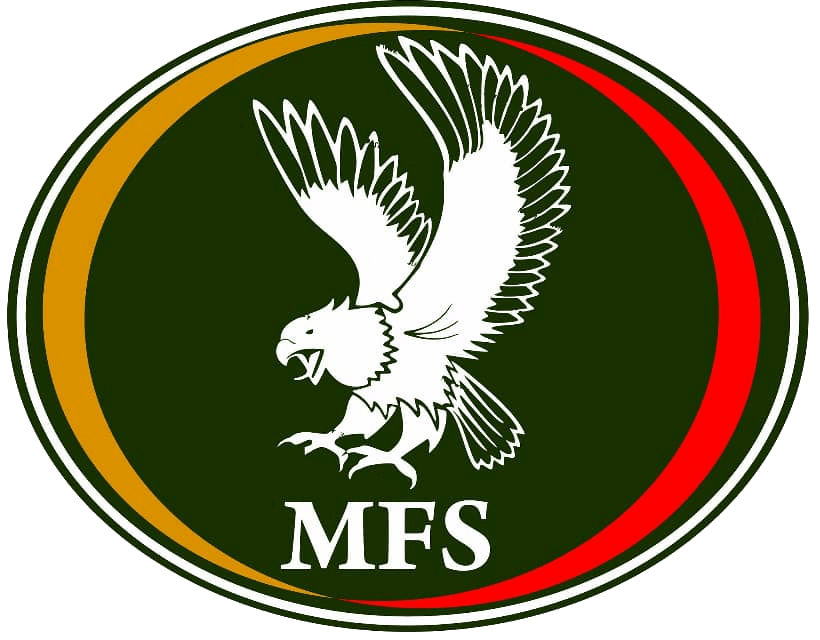 MFS Logo